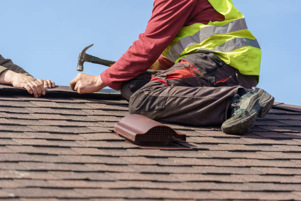 Best Residential Roof Replacement  in Shannon, MS