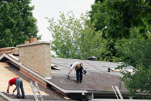Best Storm Damage Roof Repair  in Shannon, MS