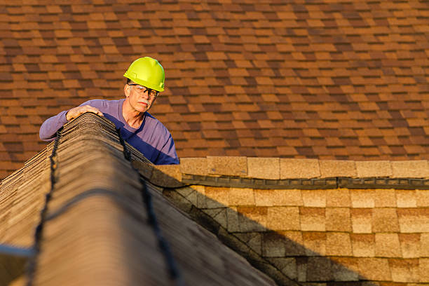 Best Storm Damage Roof Repair  in Shannon, MS